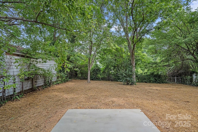 1310 Moretz Ave, Charlotte, NC 28206 - photo 11