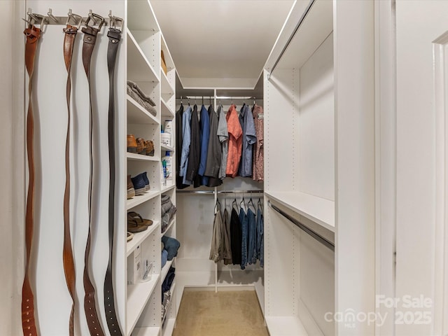 9237 N Vicksburg Park Ct, Charlotte, NC 28210 - view of spacious closet