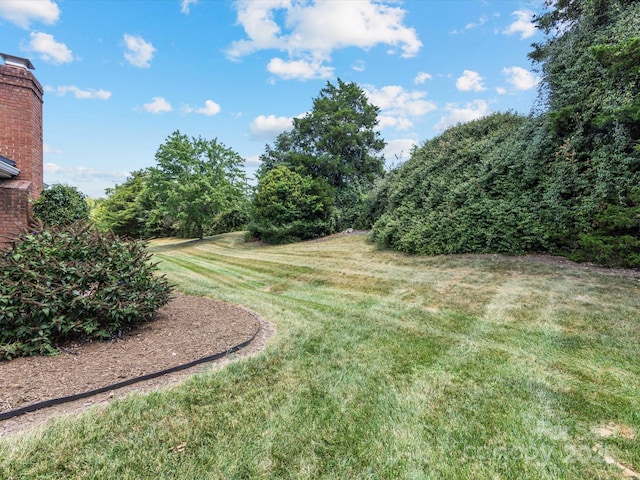 9237 N Vicksburg Park Ct, Charlotte, NC 28210 - view of grassy yard