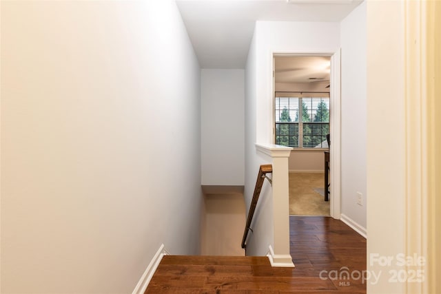 141 Leyton Loop Unit B, Mooresville, NC 28117 - staircase with wood finished floors and baseboards