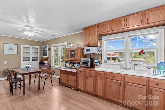179 J And W Rd, Olin, NC 28660 - kitchen with white microwave, light wood-style floors, ceiling fan, light countertops, and a textured ceiling