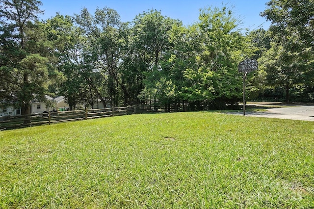 11100 Painted Tree Rd, Charlotte, NC 28226 - view of yard