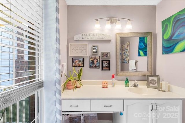 7410 Derby Meadows Ct, Charlotte, NC 28216 - bathroom with vanity