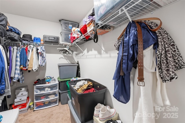 226 Caley St, Kings Mountain, NC 28086 - spacious closet with carpet flooring
