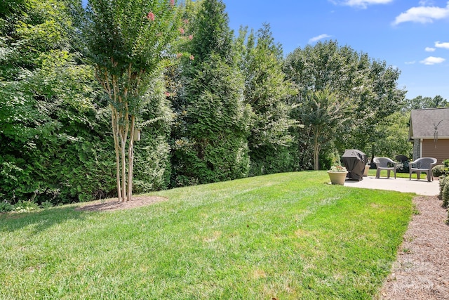 18410 Neville Ave, Cornelius, NC 28031 - photo 34