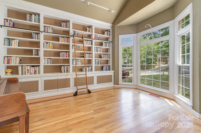 6225 Ash Cove Ln, Charlotte, NC 28269 - unfurnished room featuring built in features, track lighting, healthy amount of natural light, wood finished floors, and lofted ceiling