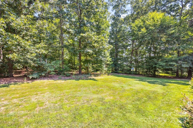 20308 Ridgebrook Ln, Locust, NC 28097 - view of grassy yard