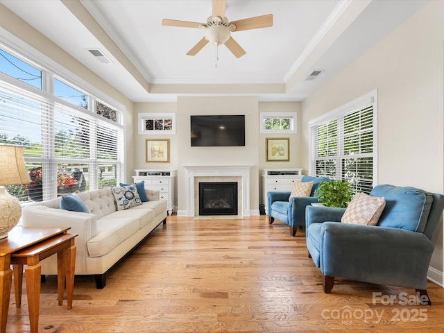 1313 Haywood Park Dr Unit 11, Waxhaw, NC 28173 - living area featuring a tray ceiling, light wood-style floors, ceiling fan, and a glass covered fireplace