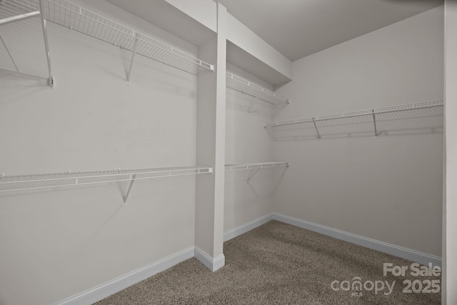 113 Chaska Loop, Troutman, NC 28166 - spacious closet featuring carpet floors