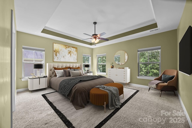113 Chaska Loop, Troutman, NC 28166 - bedroom featuring a tray ceiling, carpet flooring, and multiple windows