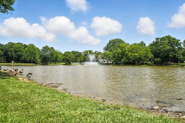 247 Aylesbury Ln, Indian Trail, NC 28079 - water view