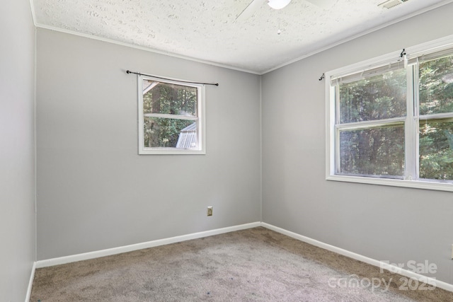 1416 Roy Dula Pl SW, Lenoir, NC 28645 - carpeted spare room featuring baseboards and a textured ceiling