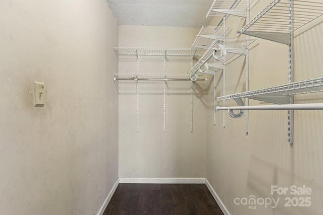 1416 Roy Dula Pl SW, Lenoir, NC 28645 - walk in closet with wood finished floors
