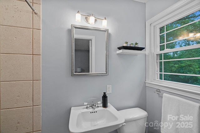 1108 Braeburn Rd, Charlotte, NC 28211 - photo 27