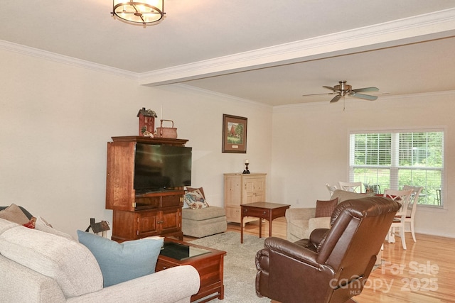 485 Calloway Rd, Lowgap, NC 27024 - living area with wood finished floors, crown molding, and ceiling fan