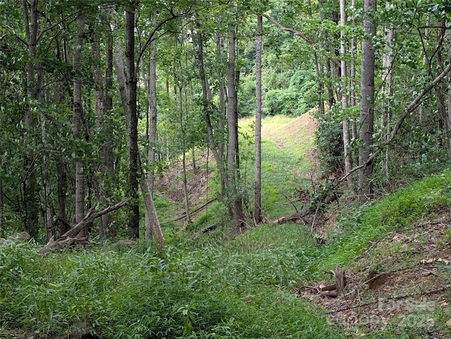 99999 Running Deer Ln Unit 25, Mars Hill, NC 28754