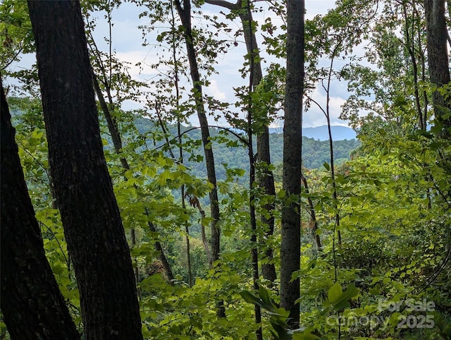 99999 Running Deer Ln Unit 25, Mars Hill, NC 28754
