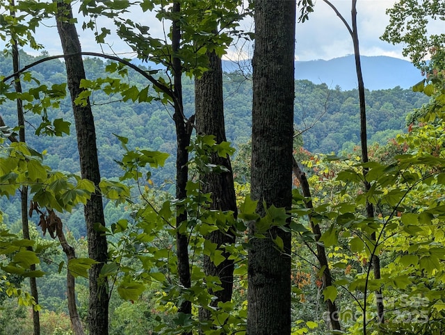 99999 Running Deer Ln Unit 25, Mars Hill, NC 28754