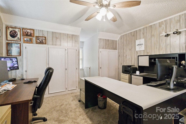 3149 Simmons St, Kannapolis, NC 28083 - home office featuring wooden walls, ceiling fan, a textured ceiling, and light colored carpet