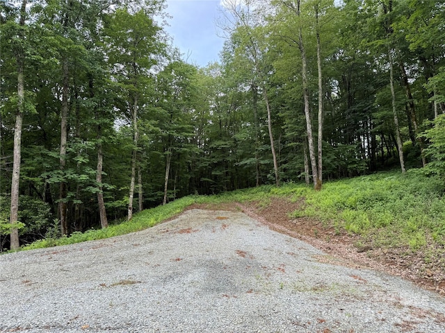 TBD Junaluska Rd, Boone, NC 28607 - photo 4