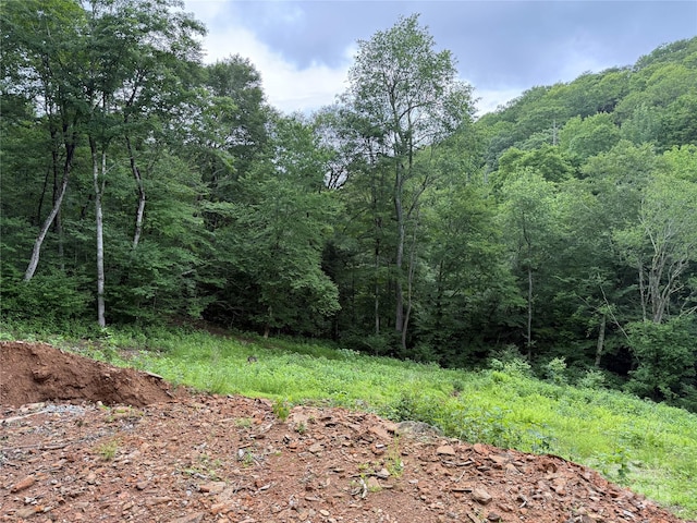 TBD Junaluska Rd, Boone, NC 28607 - photo 11