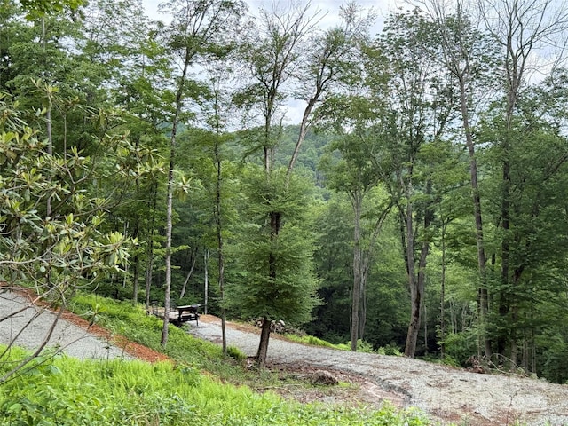 TBD Junaluska Rd, Boone, NC 28607 - photo 12