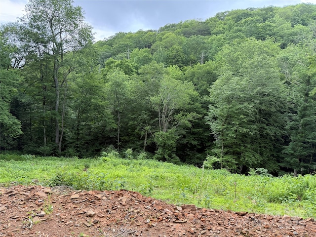 TBD Junaluska Rd, Boone, NC 28607 - photo 13