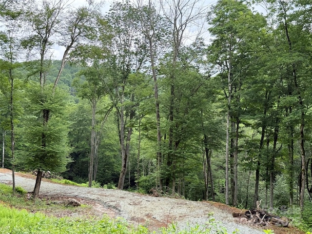 TBD Junaluska Rd, Boone, NC 28607 - photo 14