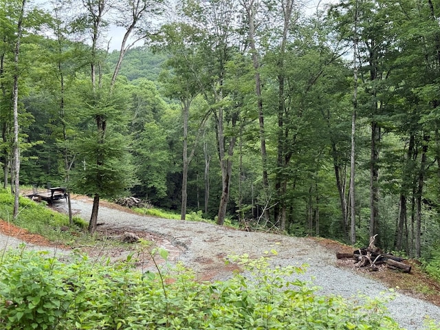 TBD Junaluska Rd, Boone, NC 28607 - photo 15