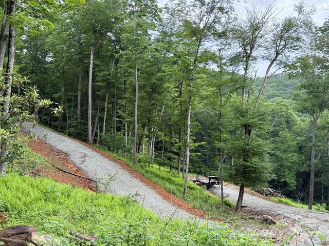 TBD Junaluska Rd, Boone, NC 28607 - photo 16