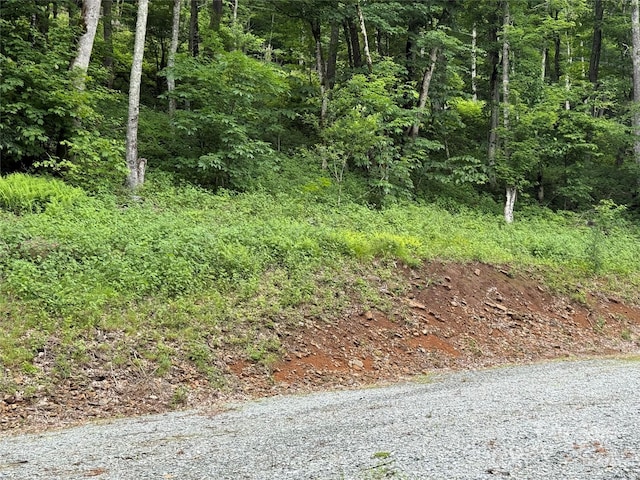 TBD Junaluska Rd, Boone, NC 28607 - photo 17