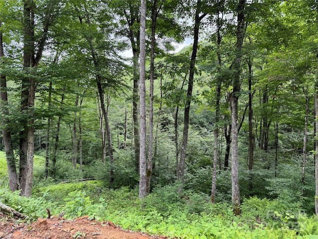 TBD Junaluska Rd, Boone, NC 28607 - photo 19