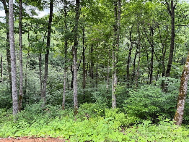 TBD Junaluska Rd, Boone, NC 28607 - photo 20