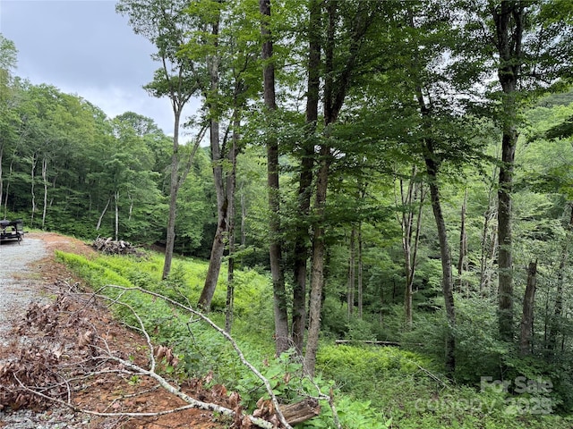 TBD Junaluska Rd, Boone, NC 28607 - photo 21