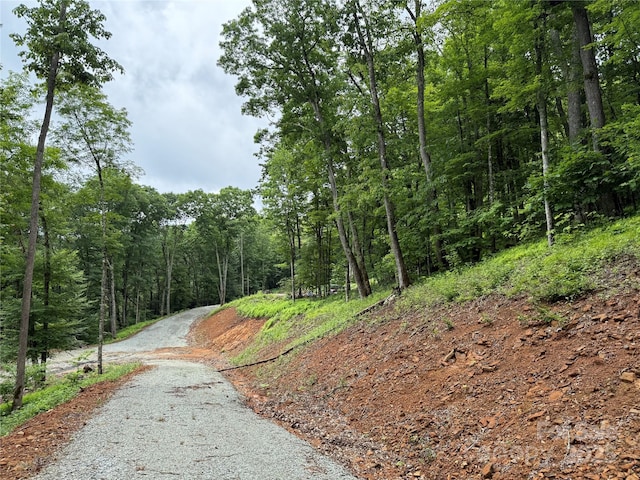 TBD Junaluska Rd, Boone, NC 28607 - photo 22