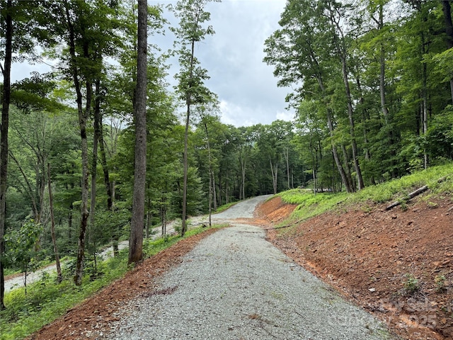 TBD Junaluska Rd, Boone, NC 28607 - photo 23