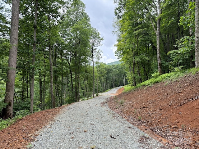 TBD Junaluska Rd, Boone, NC 28607 - photo 24