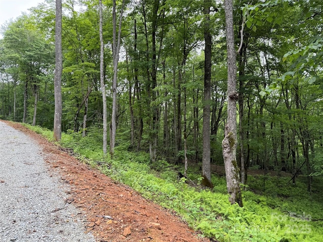 TBD Junaluska Rd, Boone, NC 28607 - photo 25