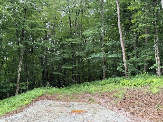 TBD Junaluska Rd, Boone, NC 28607 - photo 26