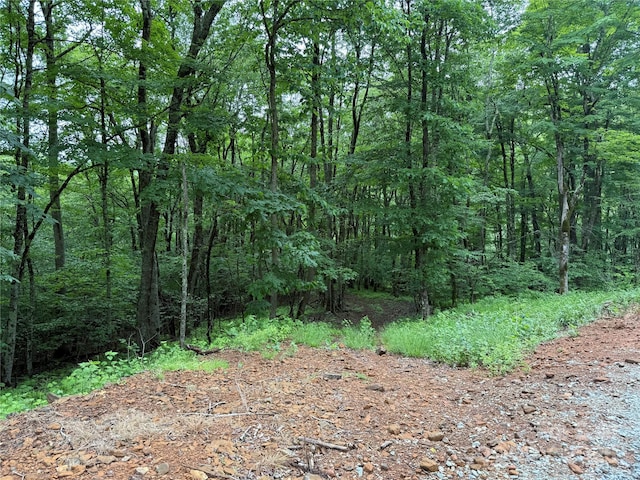 TBD Junaluska Rd, Boone, NC 28607 - photo 27
