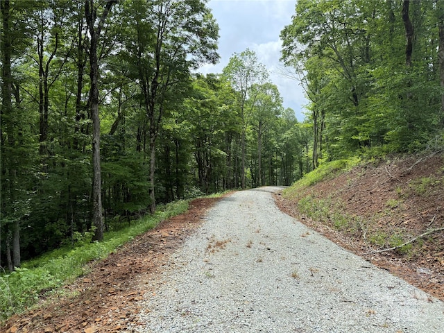 TBD Junaluska Rd, Boone, NC 28607 - photo 28