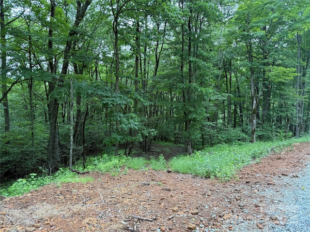 TBD Junaluska Rd, Boone, NC 28607 - photo 29