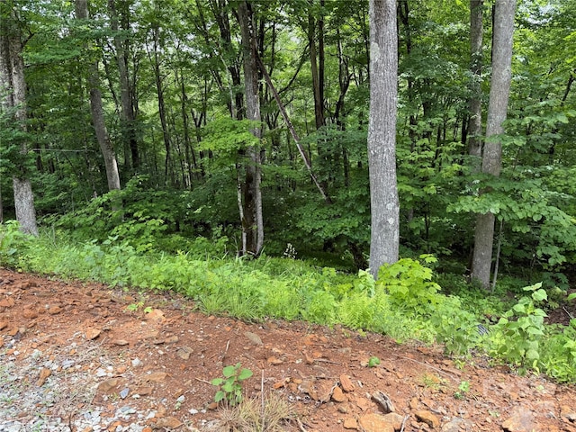 TBD Junaluska Rd, Boone, NC 28607 - photo 30