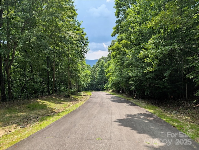 115 Ivywood Ln, Laurel Park, NC 28739