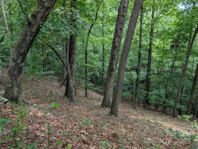 115 Ivywood Ln, Laurel Park, NC 28739