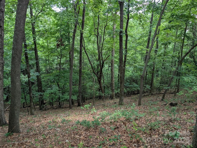 115 Ivywood Ln, Laurel Park, NC 28739