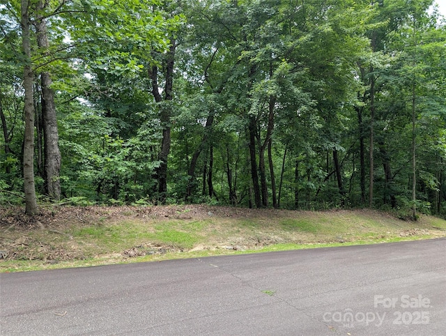 115 Ivywood Ln, Laurel Park, NC 28739