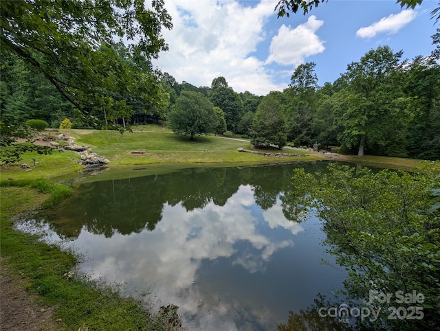 115 Ivywood Ln, Laurel Park, NC 28739