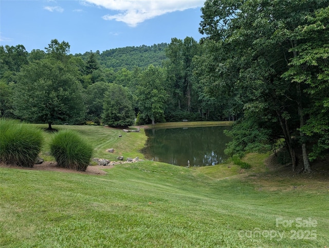 115 Ivywood Ln, Laurel Park, NC 28739