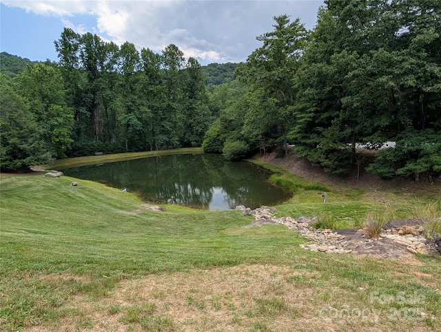 115 Ivywood Ln, Laurel Park, NC 28739